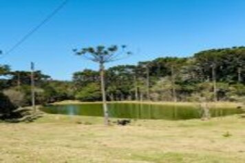 Foto - CAMINHO AUTOGUIADO DE ARVOREZINHA É INAUGURADO