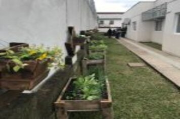 Foto - Curso de Produção de Plantas Ornamentais e em Vasos é concluído