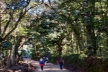 Foto - CAMINHO AUTOGUIADO DE ARVOREZINHA É INAUGURADO