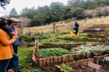 Foto - CURSO DE PROCESSAMENTO DE PEIXES FORMA 15 ALUNOS