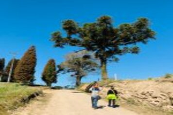 Foto - CAMINHO AUTOGUIADO DE ARVOREZINHA É INAUGURADO