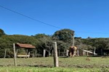 Foto - CAMINHO AUTOGUIADO DE ARVOREZINHA É INAUGURADO