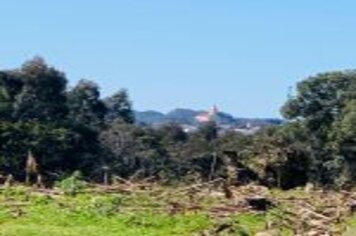 Foto - CAMINHO AUTOGUIADO DE ARVOREZINHA É INAUGURADO