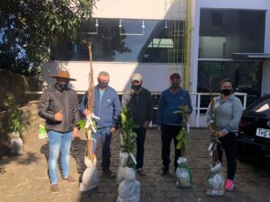 ADMINISTRAÇÃO MUNICIPAL REALIZOU A ENTREGA DE MUDAS DE ÁRVORES FRUTÍFERAS E ORNAMENTAIS