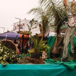 DESFILE CIVICO CULTURAL FICOU NA HISTÓRIA DOS 60 ANOS DO MUNICÍPIO