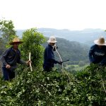 SECRETÁRIO DE AGRICULTURA, ECOLOGIA E MEIO AMBIENTE NELSINHO DE BONA DA ENTREVISTA A REVISTA NATIONAL GEOGRAPHIC BRASIL